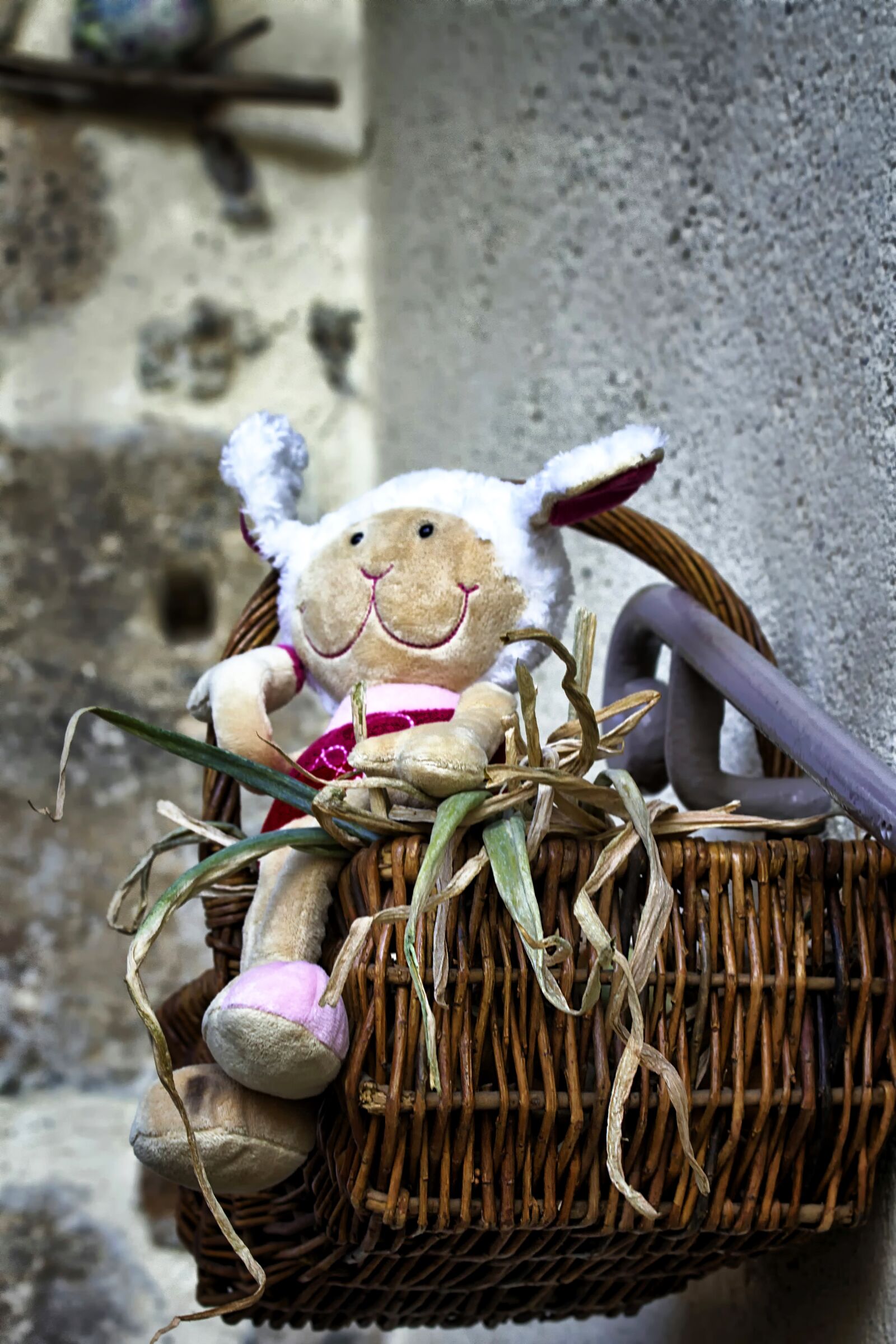 Canon EOS 650D (EOS Rebel T4i / EOS Kiss X6i) sample photo. Basket, food, petit photography