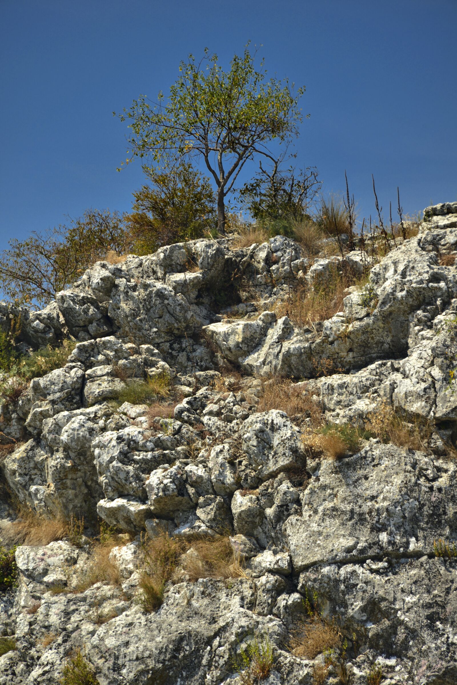 Nikon D800E sample photo. Rock, nature, stone photography
