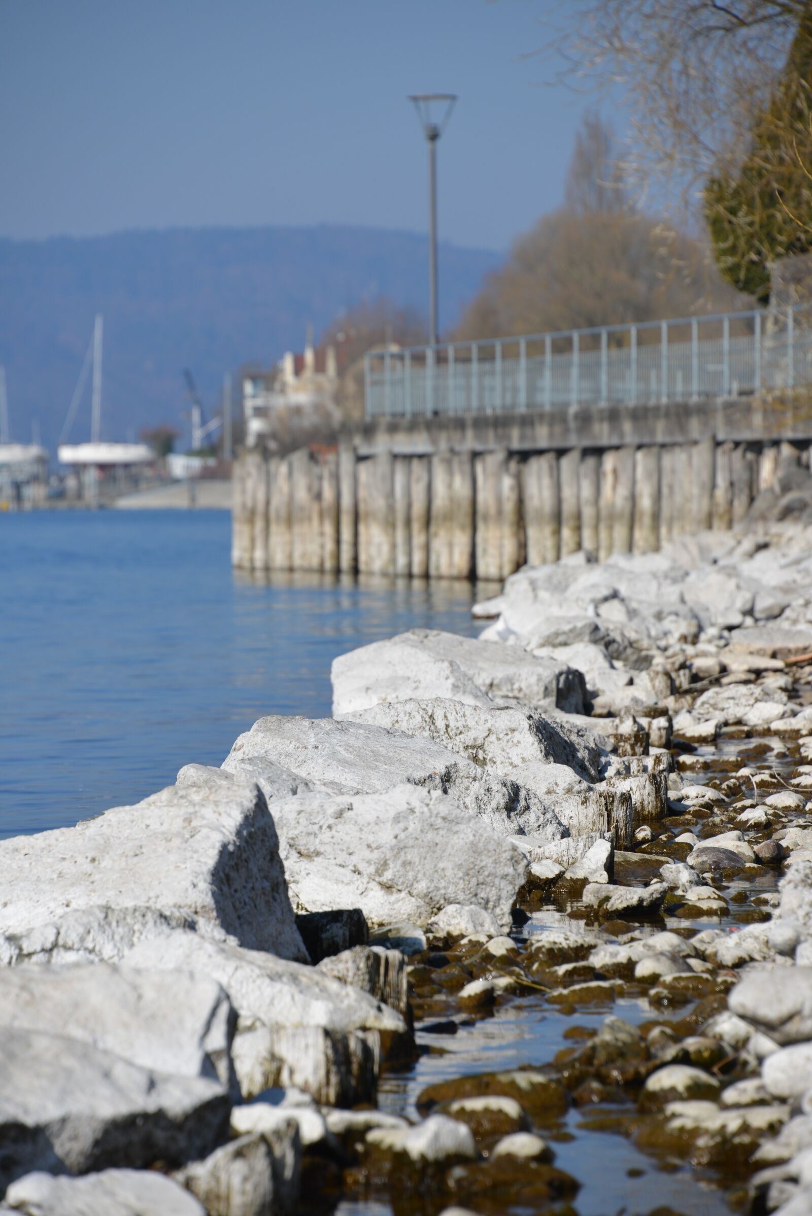 Nikon D600 sample photo. Lake constance, water, beach photography
