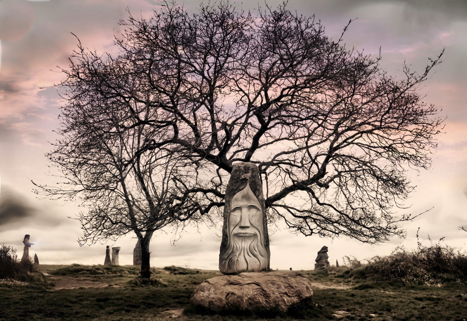 Canon EOS 70D + Canon EF 24-105mm F4L IS USM sample photo. Tree, mystery, legend photography