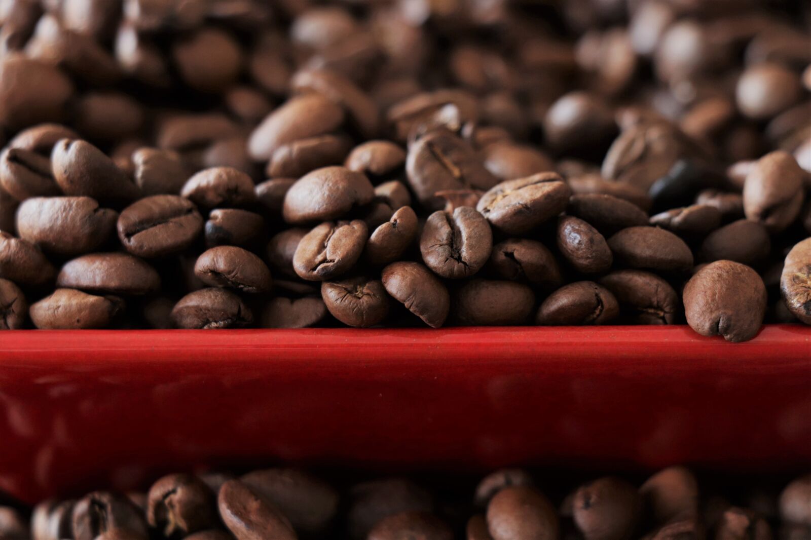 Canon EOS 77D (EOS 9000D / EOS 770D) sample photo. Coffee, grain, aroma photography