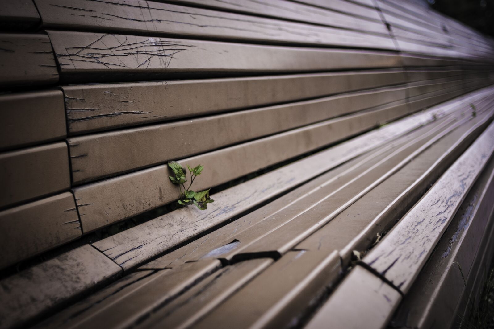 Nikon D7200 sample photo. Bench, chair, cozy photography