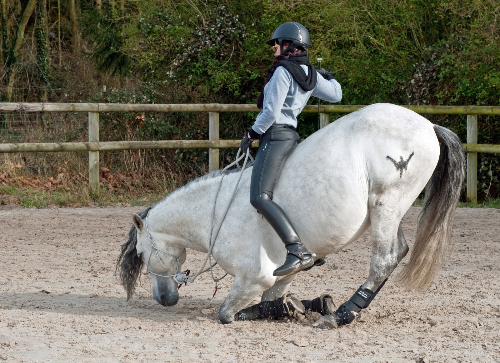 Nikon D300 sample photo. Horse, on your knees photography