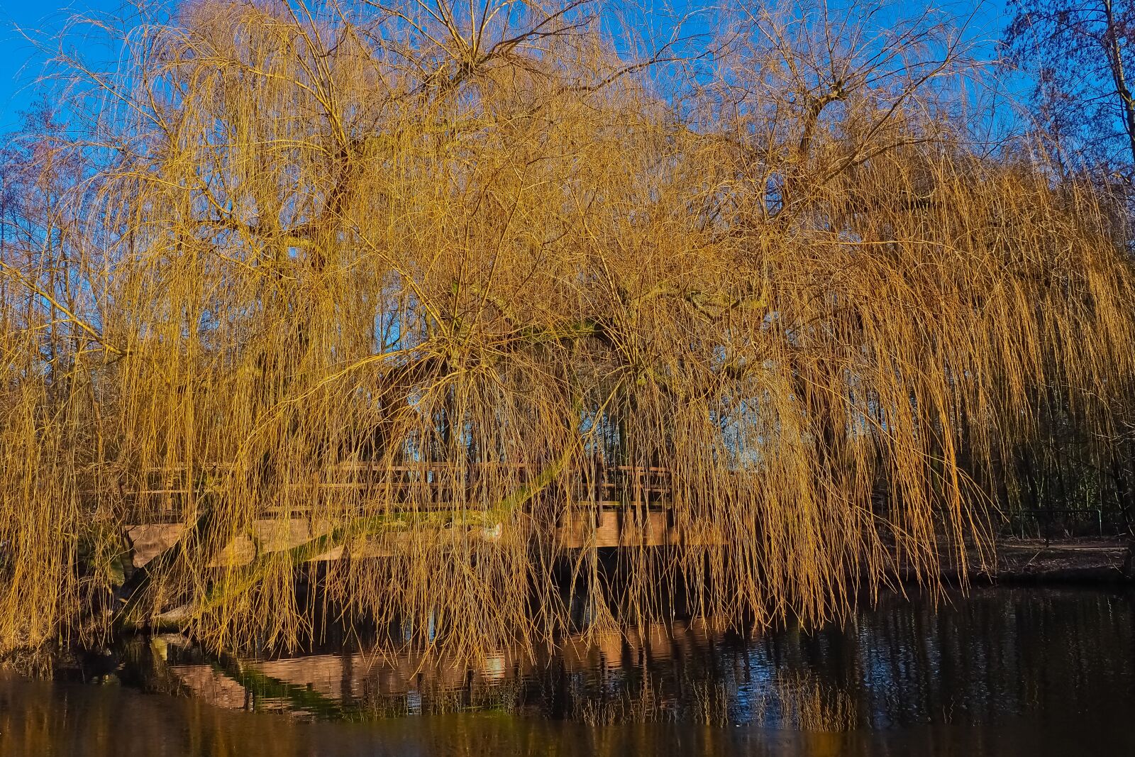 Olympus OM-D E-M10 sample photo. Landscape, channel, nature photography