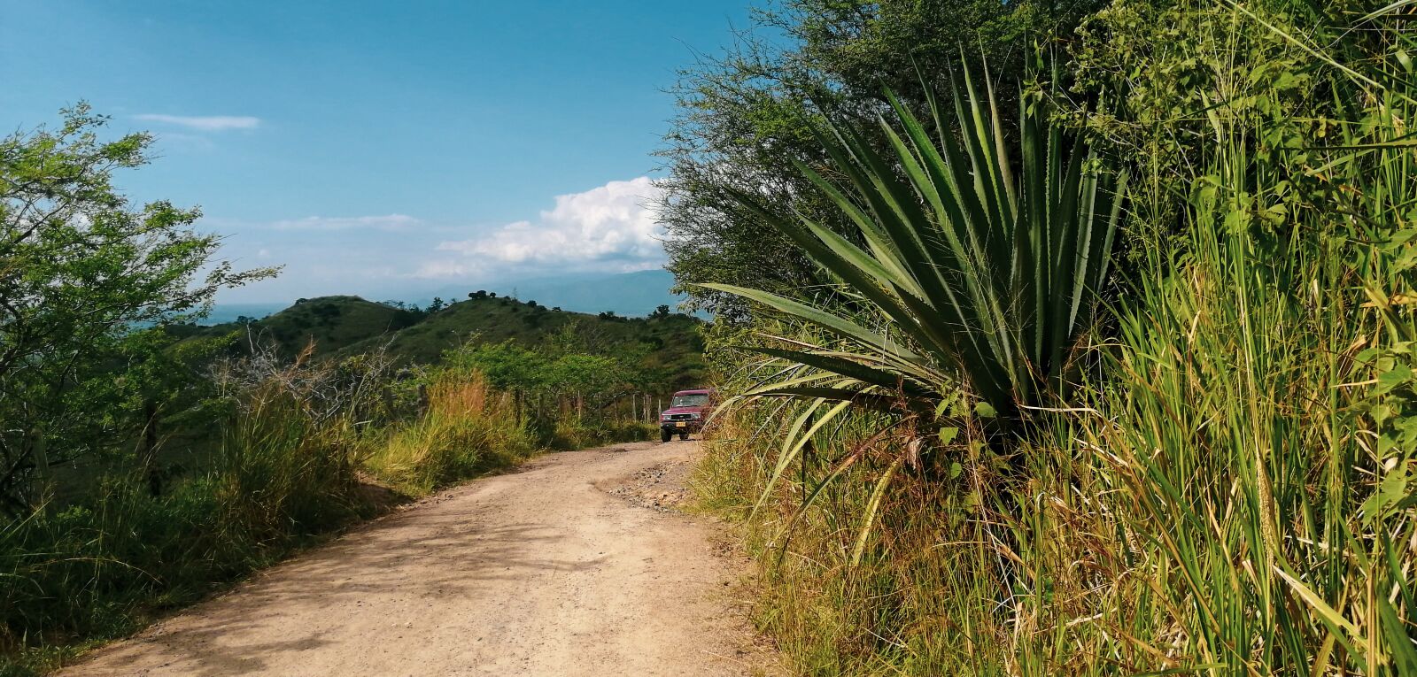 HUAWEI SNE-LX3 sample photo. Path, road, buga photography