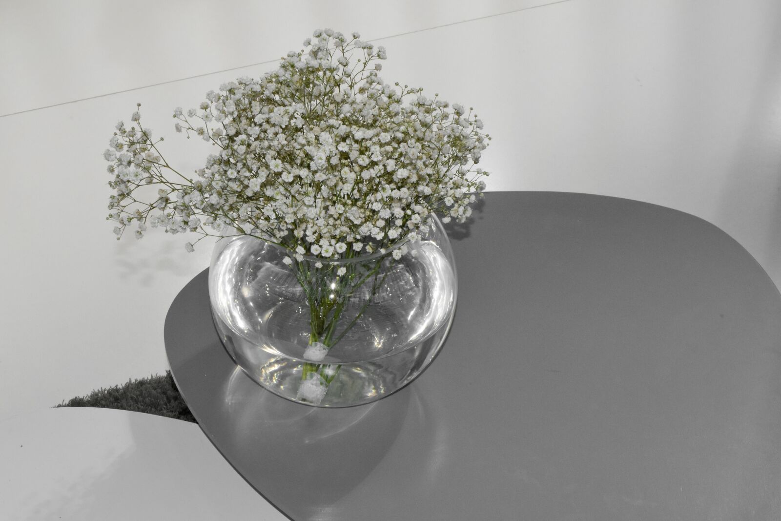 Nikon D5500 sample photo. Flowers, minimalism, still life photography
