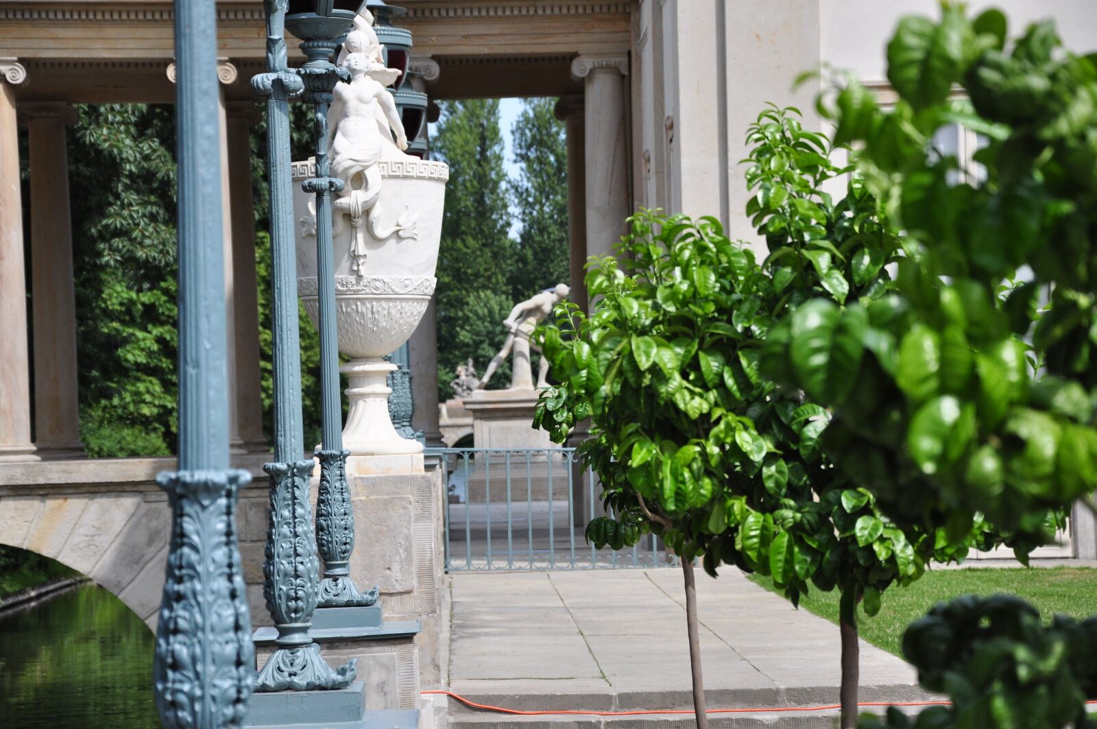 Nikon D90 sample photo. Warsaw, poland, park łazienkowski photography