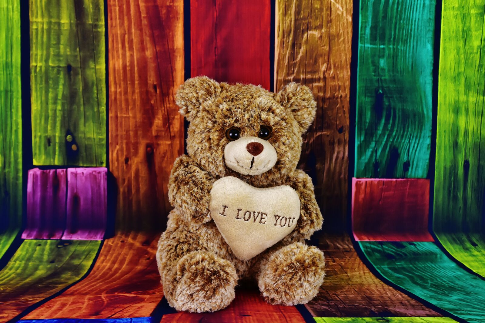 Nikon D7200 sample photo. Teddy, cute, teddy bear photography