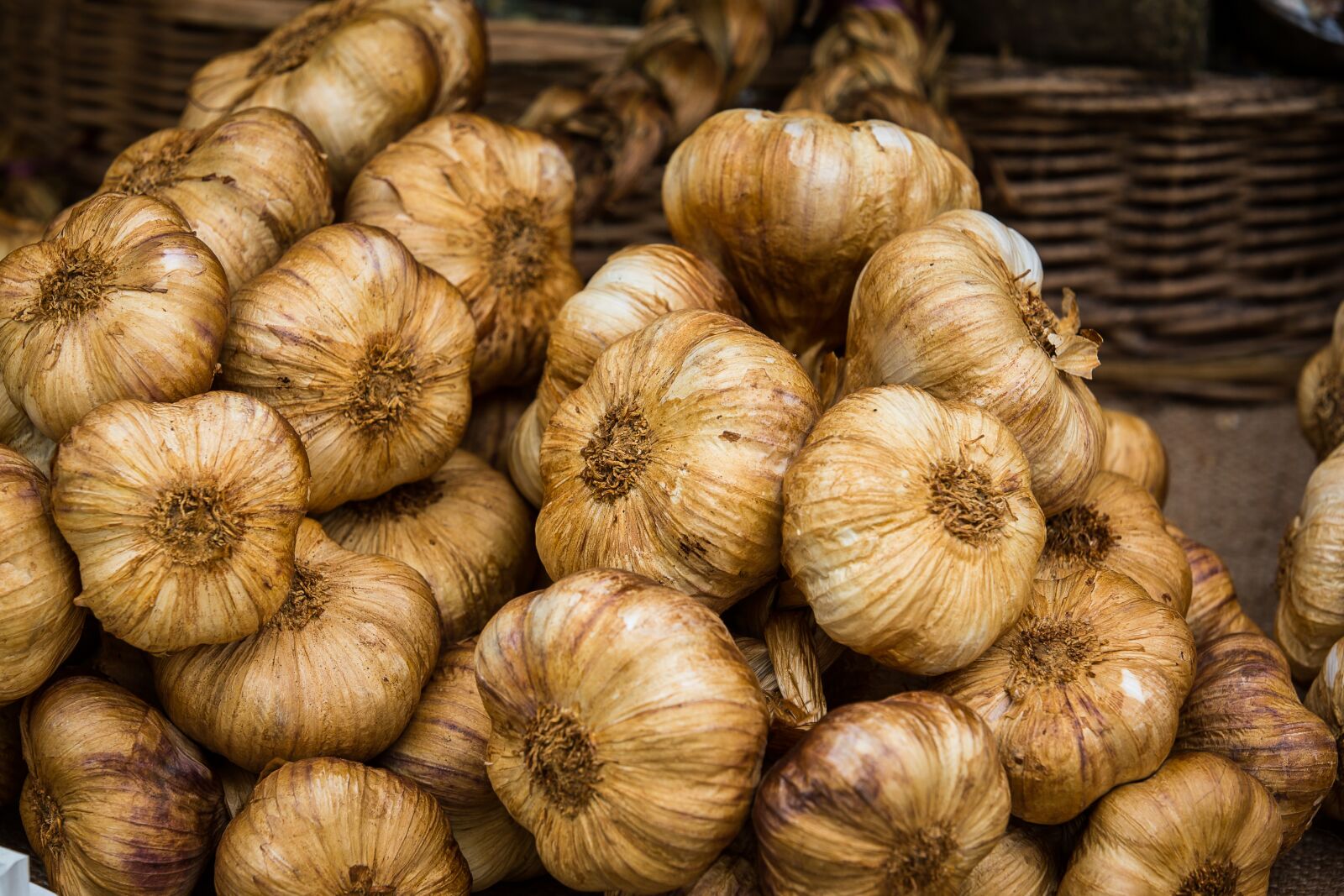 Canon EOS 5D Mark III sample photo. Garlic, roasted garlic, ten photography