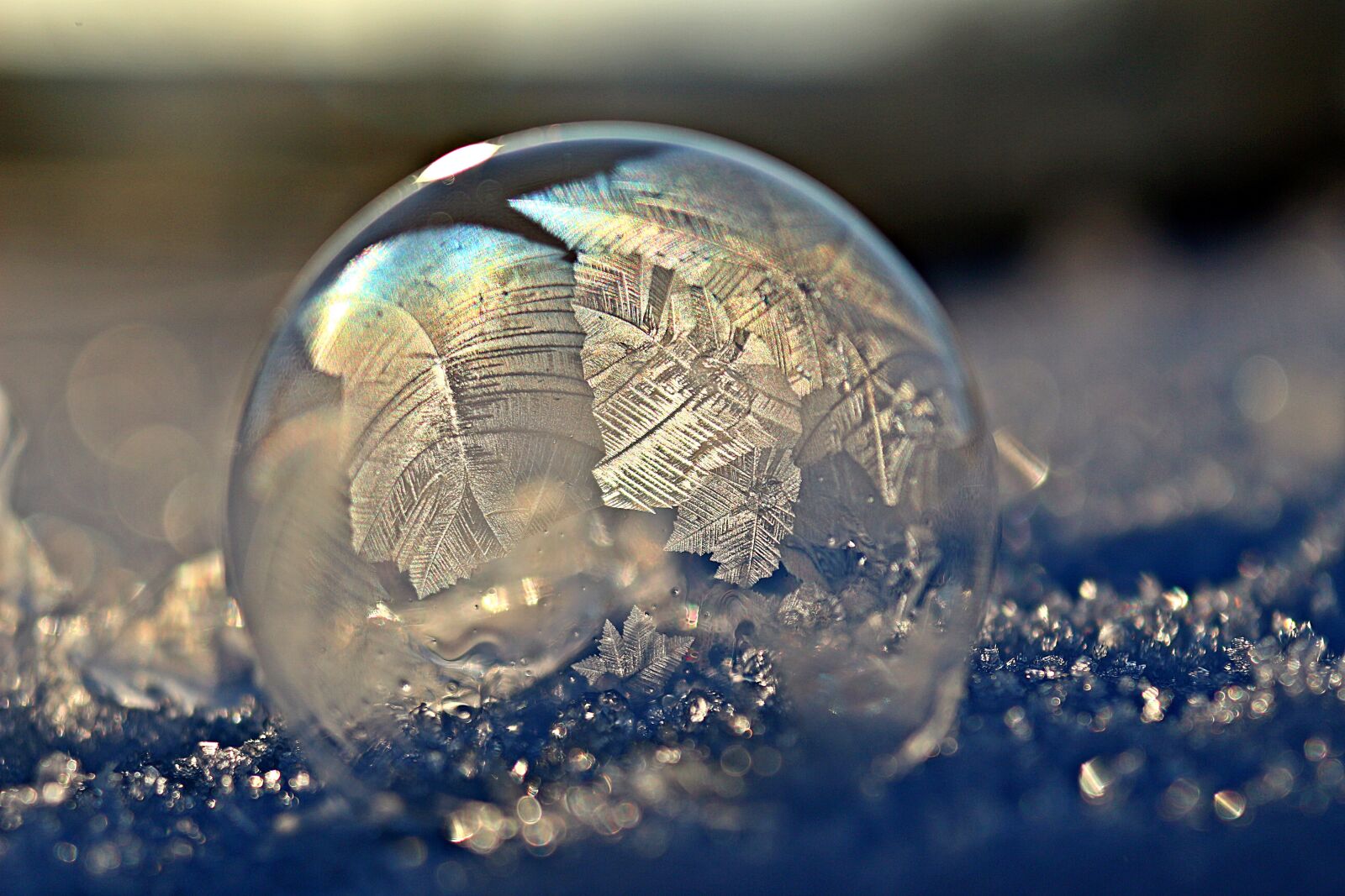 Canon EOS 100D (EOS Rebel SL1 / EOS Kiss X7) sample photo. Frost bubble, soap bubble photography