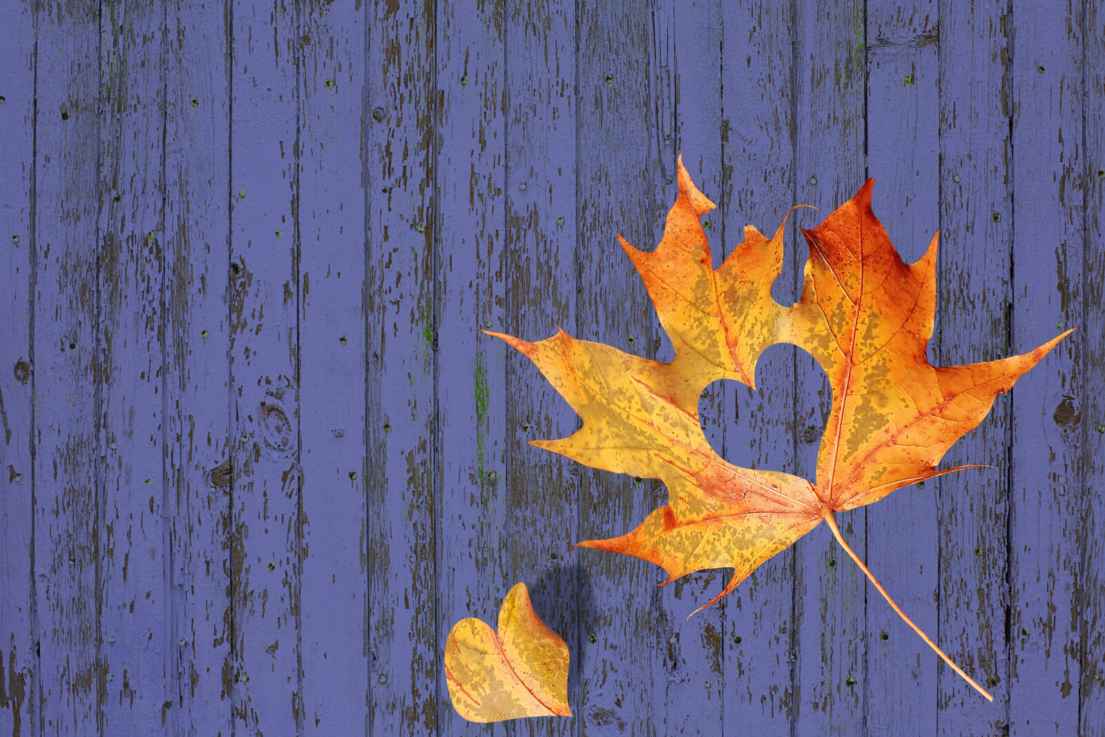 Canon EOS 5D Mark III sample photo. Autum, background, burlap, desktop photography