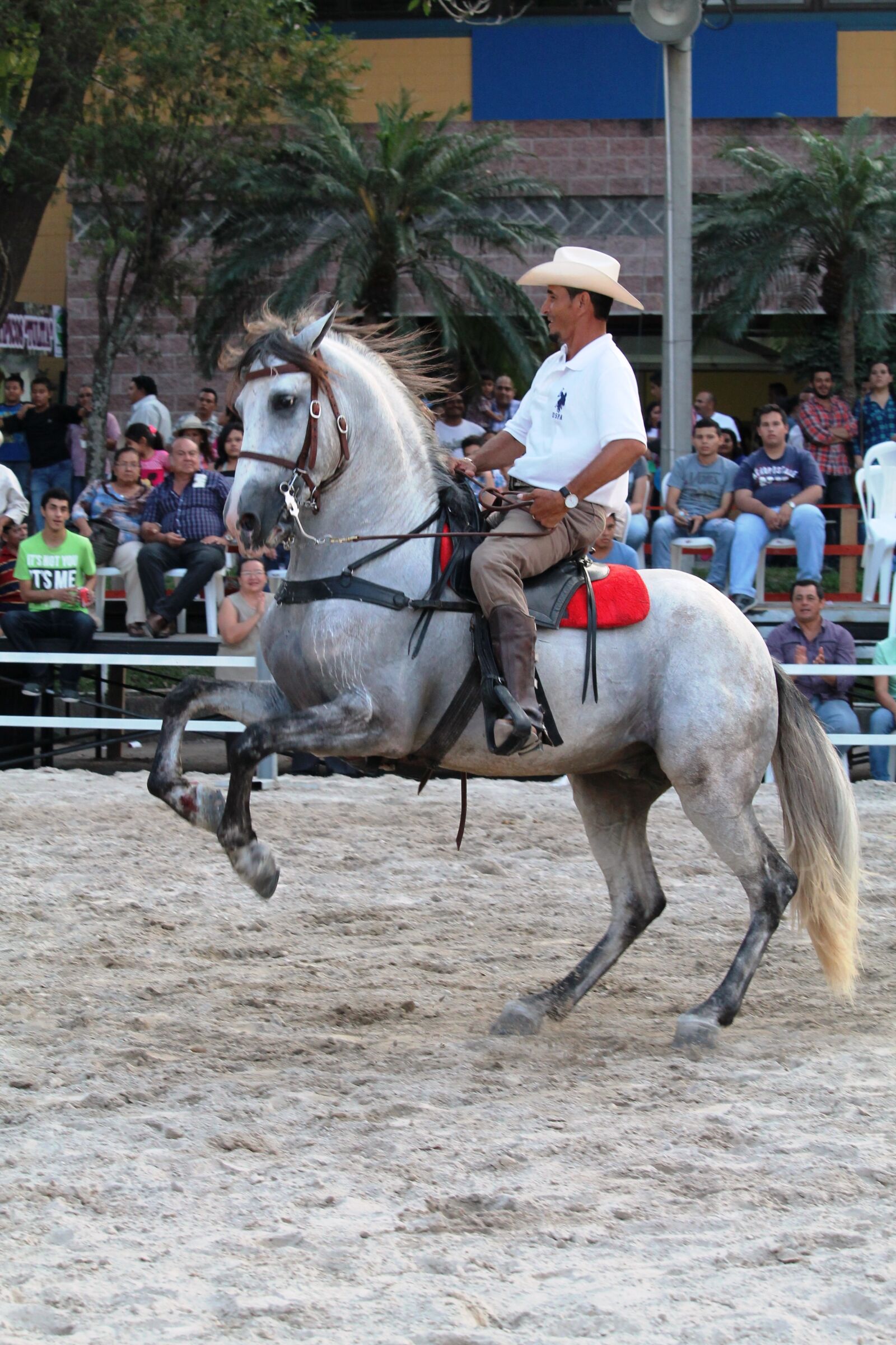 Canon EOS 1100D (EOS Rebel T3 / EOS Kiss X50) sample photo. Cowboy, horse, rider photography