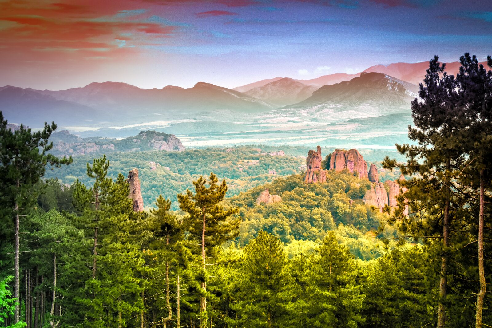 Nikon D5600 sample photo. Forest, mountains, woods photography