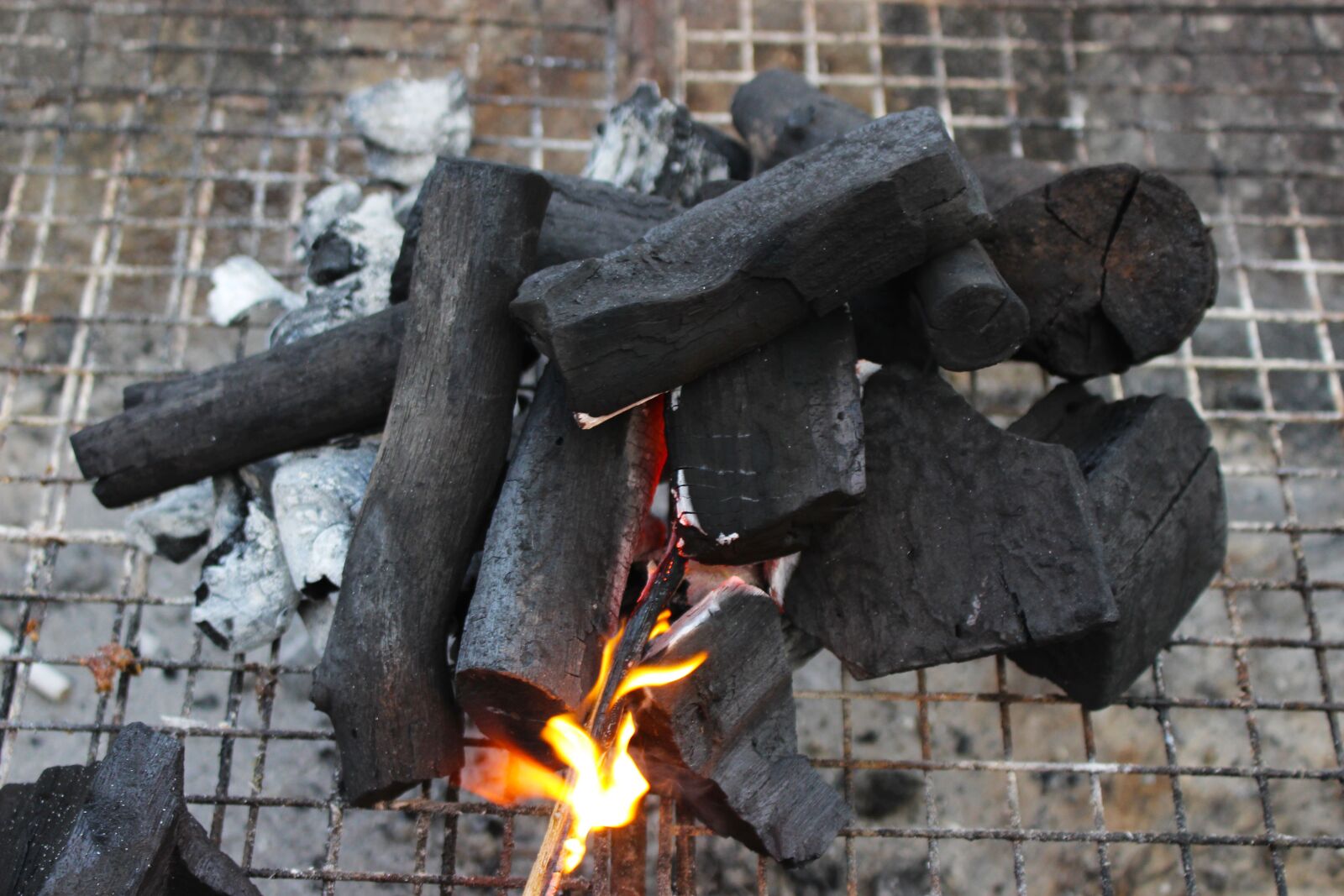 Canon EOS 700D (EOS Rebel T5i / EOS Kiss X7i) sample photo. Fire, charcoal, barbecue photography