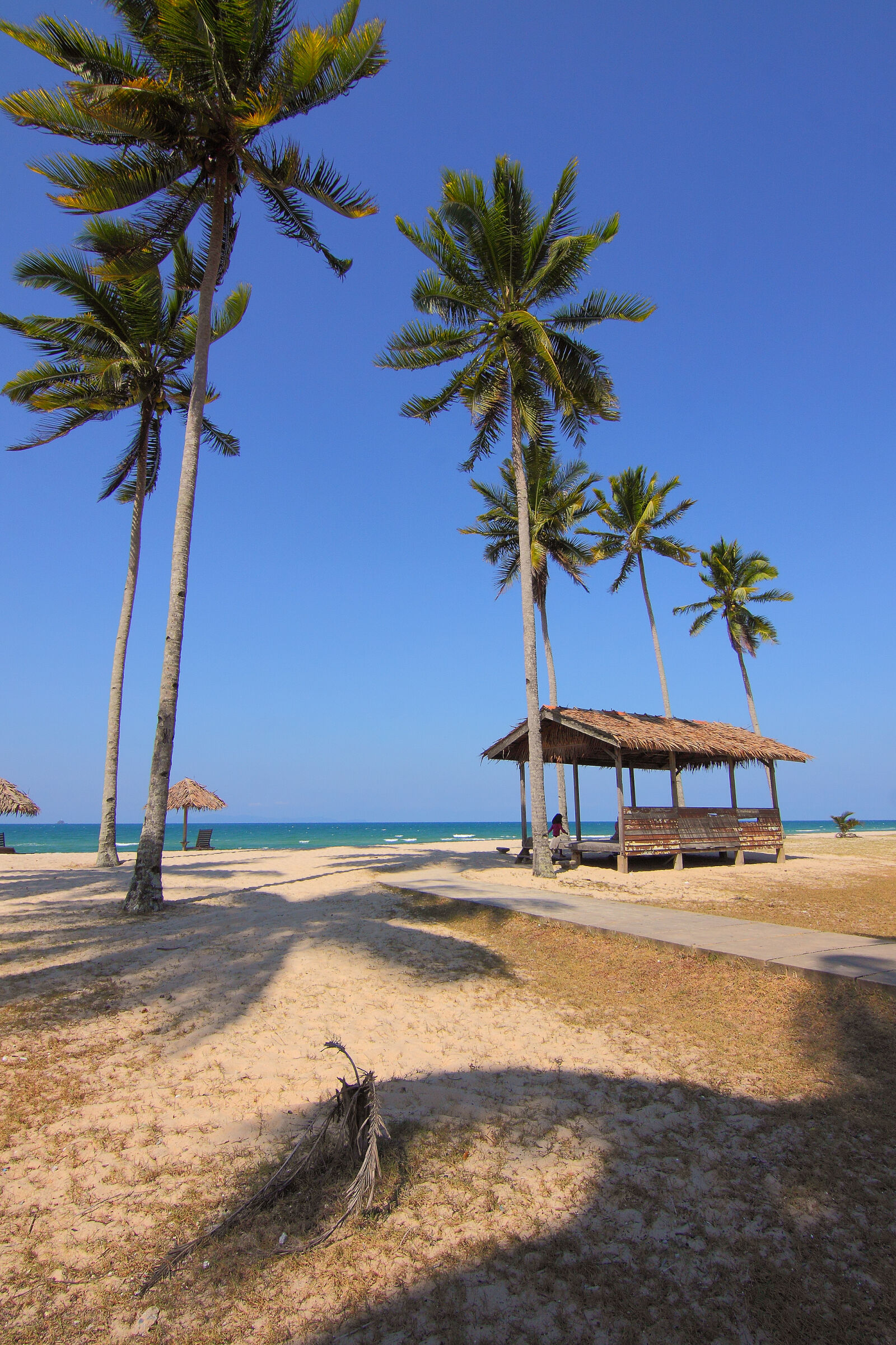 Canon EOS 50D sample photo. Beach, beach, chairs, blue photography