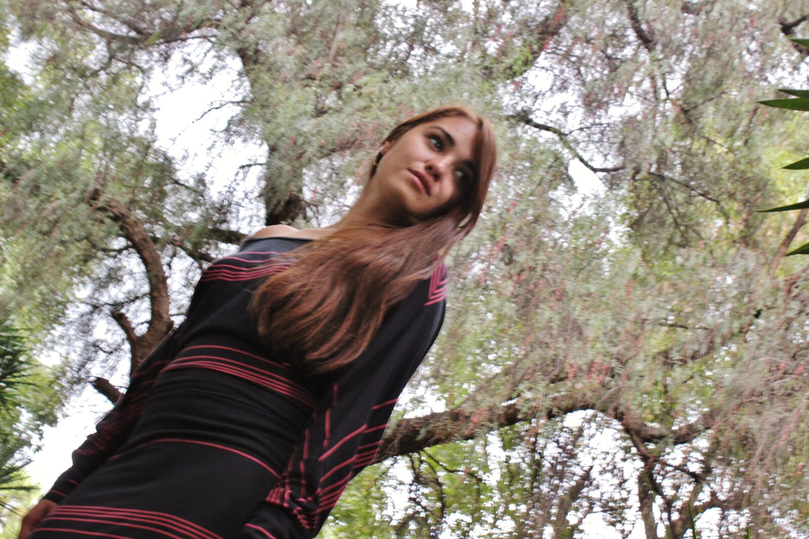 Canon EOS 600D (Rebel EOS T3i / EOS Kiss X5) sample photo. Alone, forest, girl, model photography