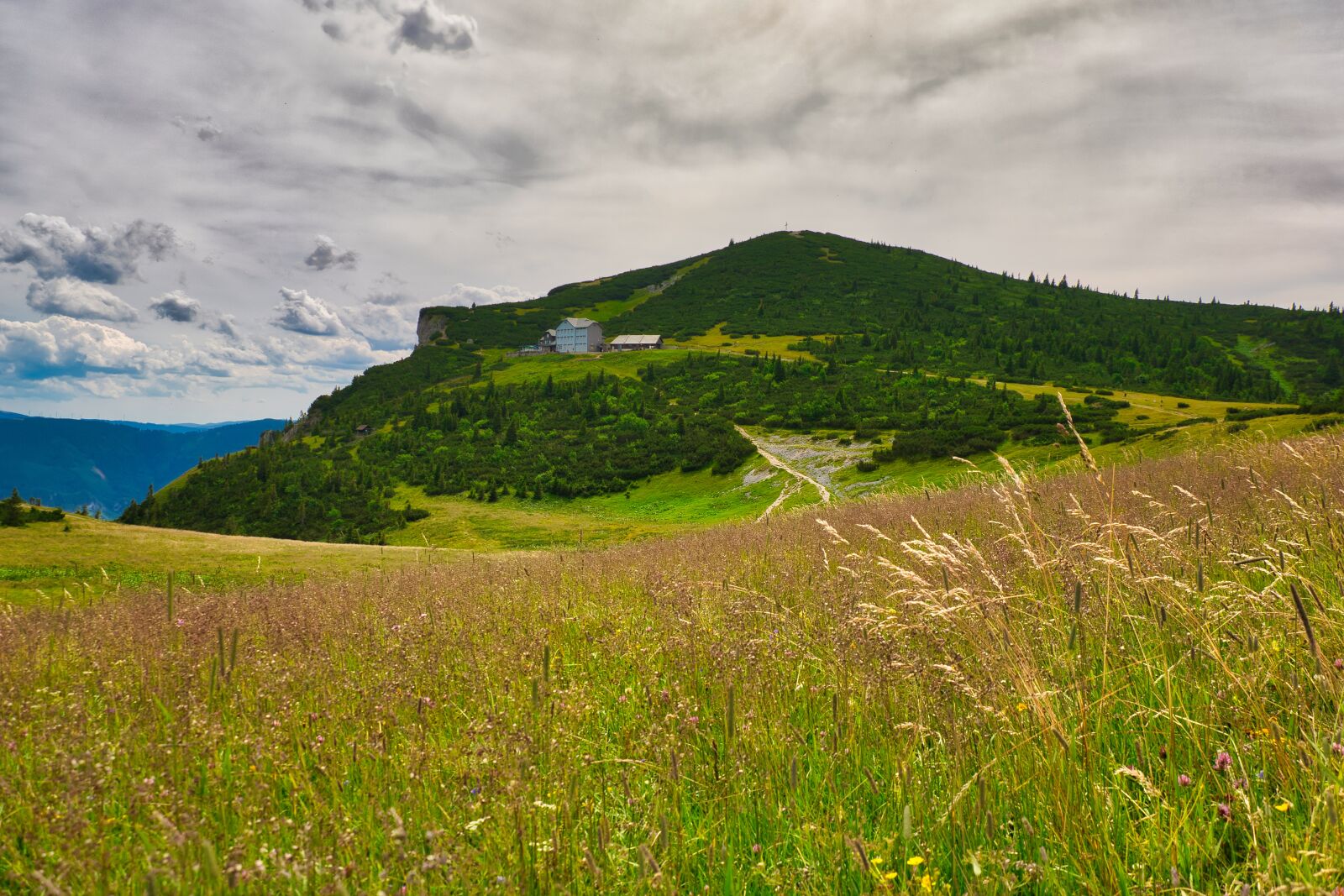 Nikon D5300 sample photo. Landscape, rax, nature photography