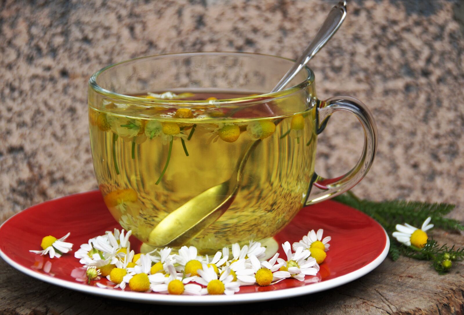 Sony SLT-A58 sample photo. Tea, chamomile, extract photography