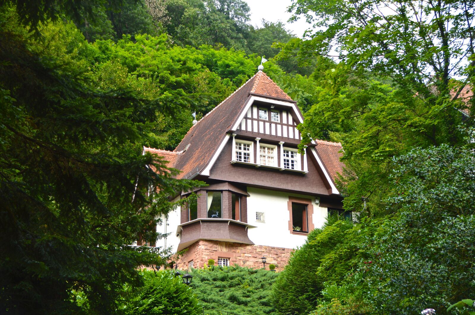 Nikon D3200 sample photo. House in the green photography