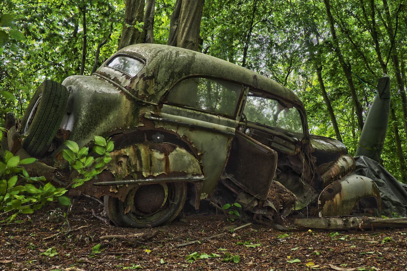 Olympus OM-D E-M10 sample photo. Auto, car cemetery, oldtimer photography
