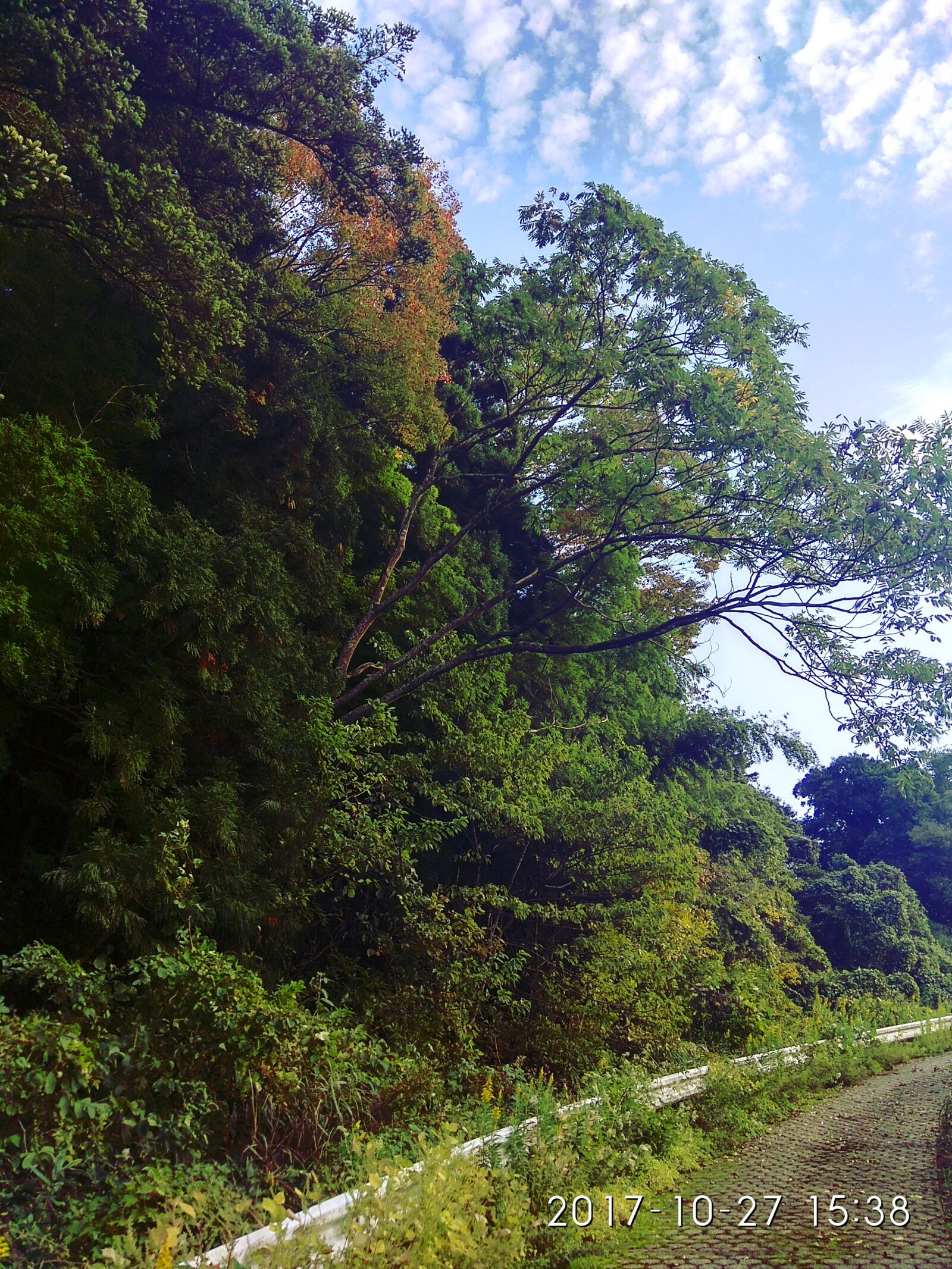 Xiaomi Redmi Note 4 sample photo