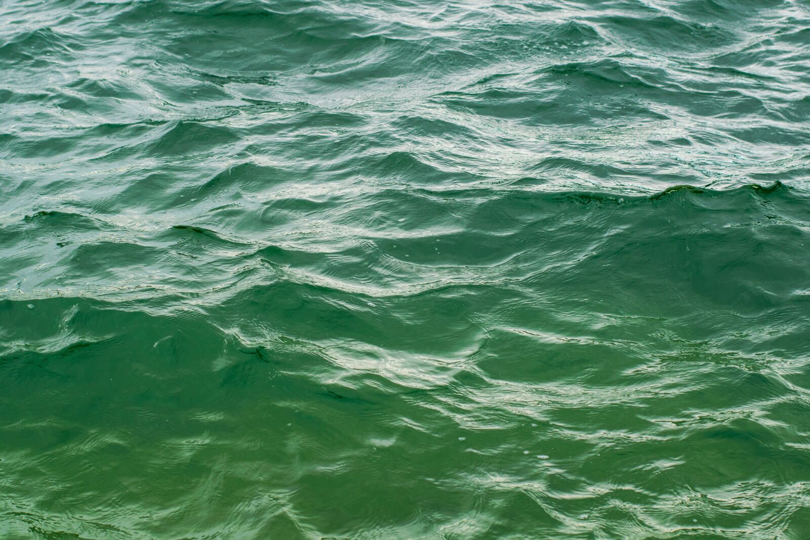 Nikon D5300 sample photo. Water, background, surface photography