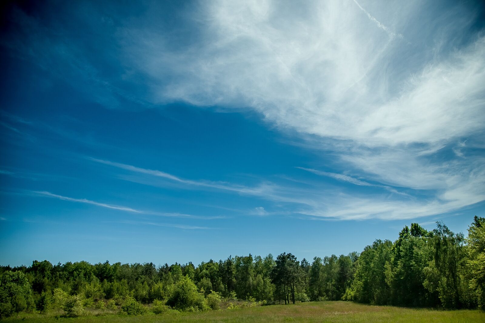 Canon EOS 5D + Canon EF 24-105mm F4L IS USM sample photo. Forest, landscape, sky photography