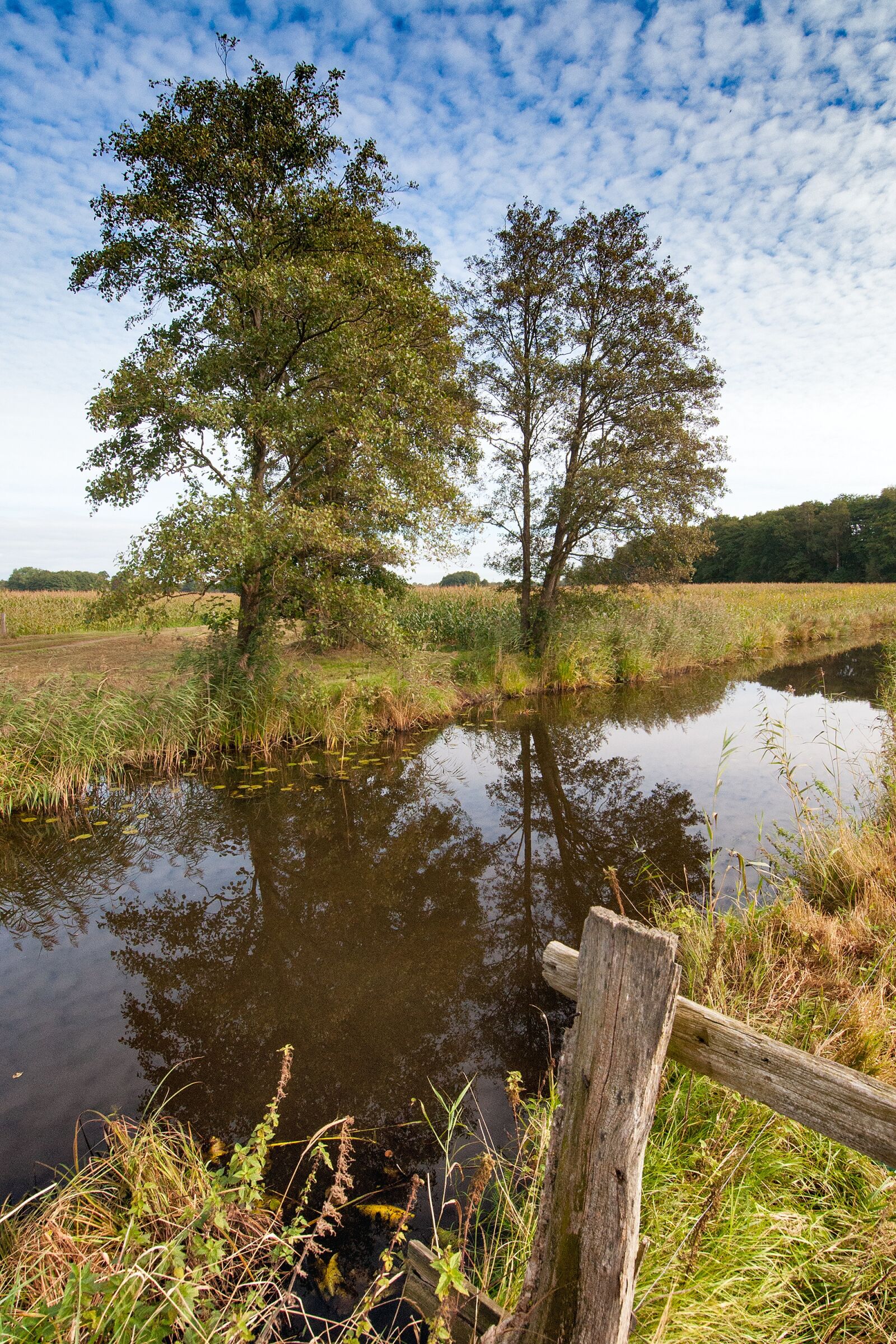 Nikon D90 sample photo. Blockland, bremen, northern germany photography
