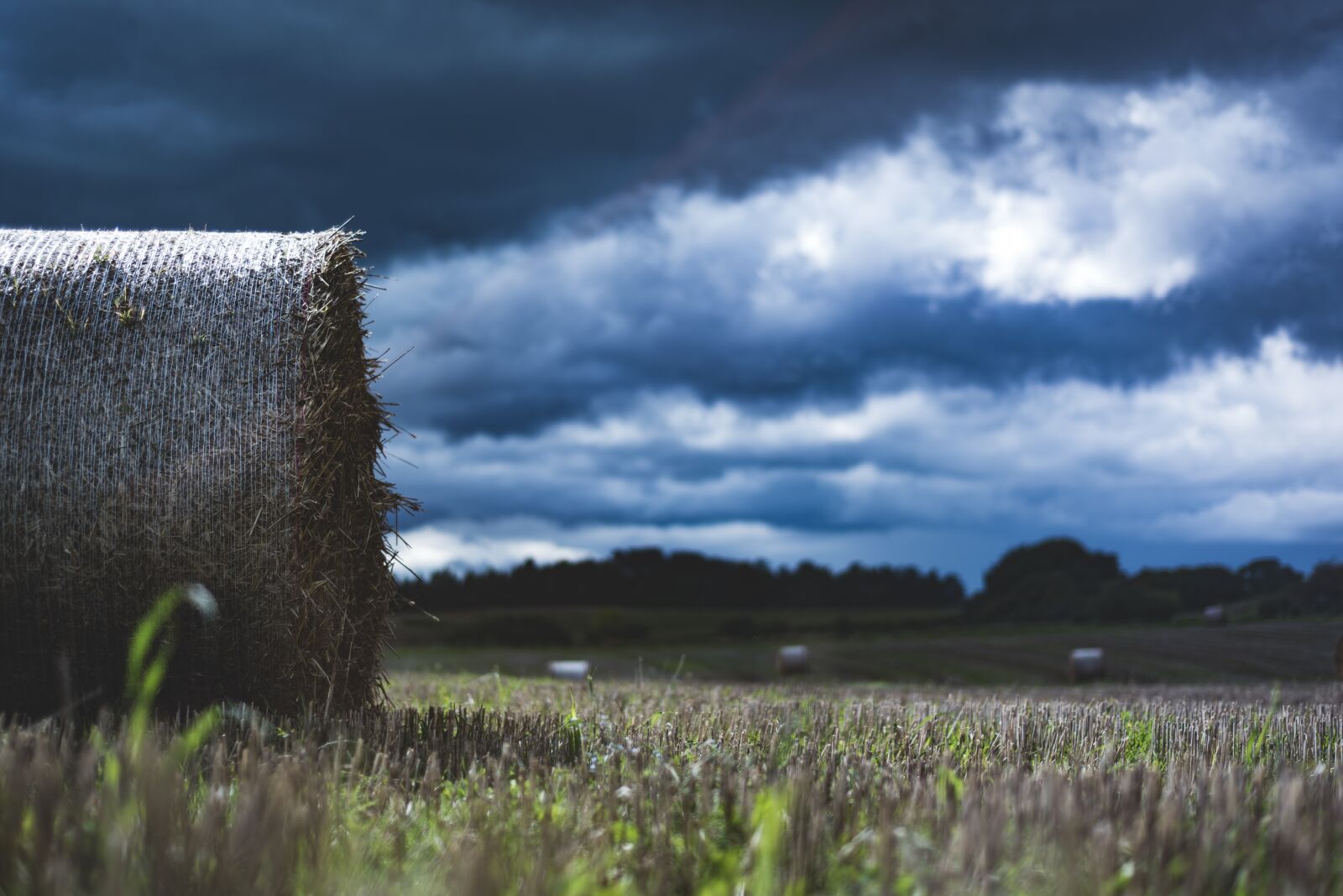Nikon D810 sample photo. Hay, field, agriculture photography