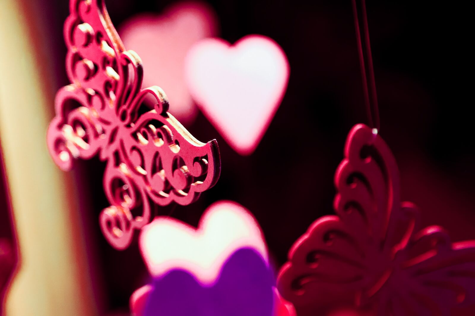 Canon EOS 5D Mark III sample photo. Background, abstract, pink photography