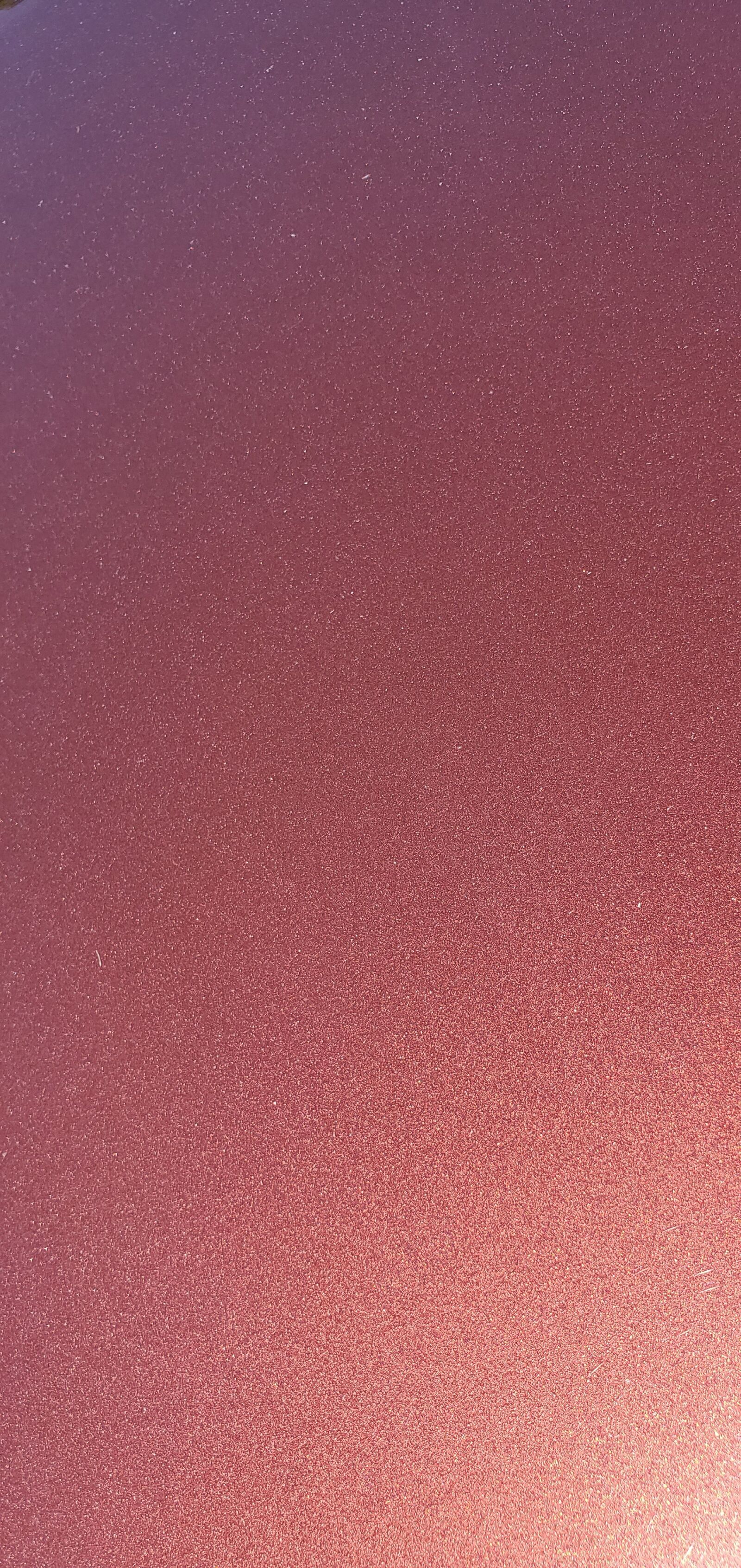 Samsung Galaxy S10 sample photo. Red, bronzefire, metallic photography