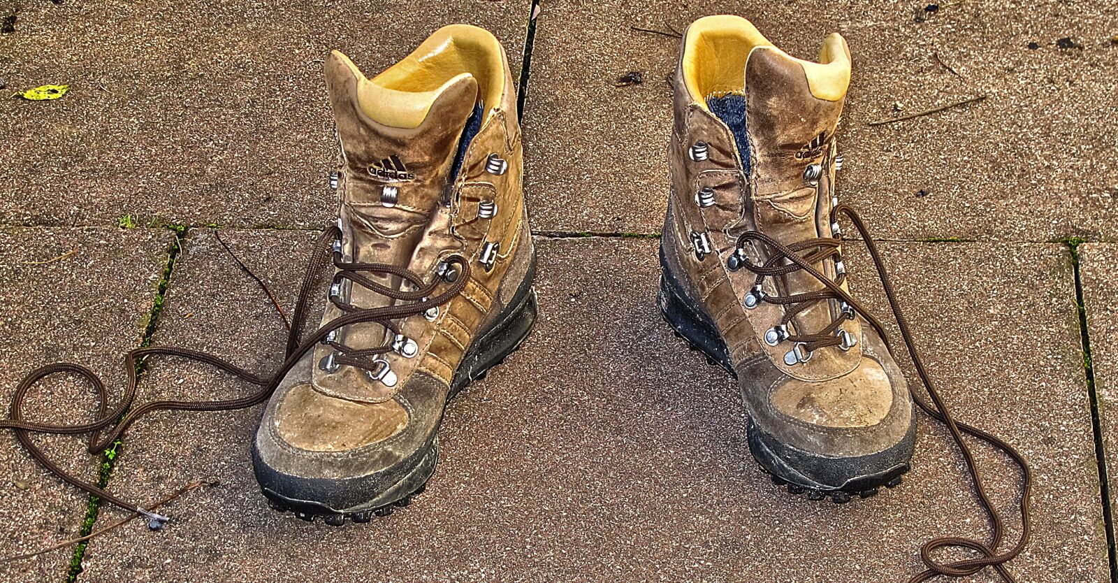 Canon PowerShot G12 sample photo. Shoe, hiking shoes, shoelace photography