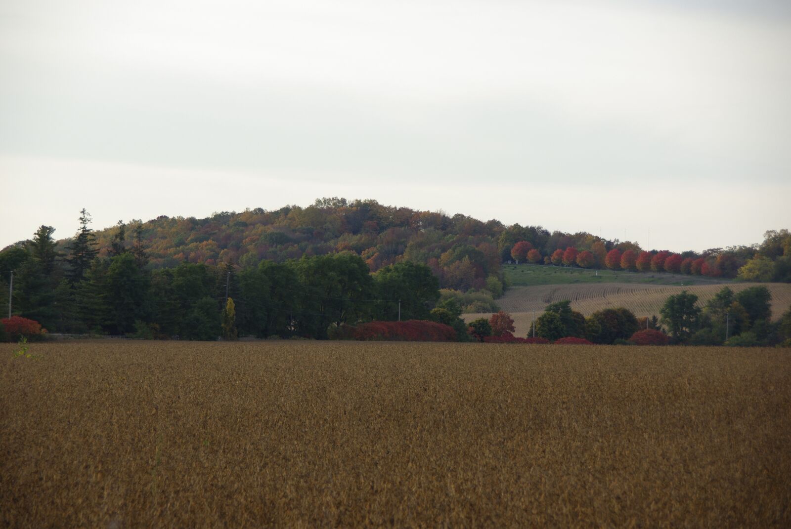 Pentax K200D sample photo. Canada, fall, colorful photography