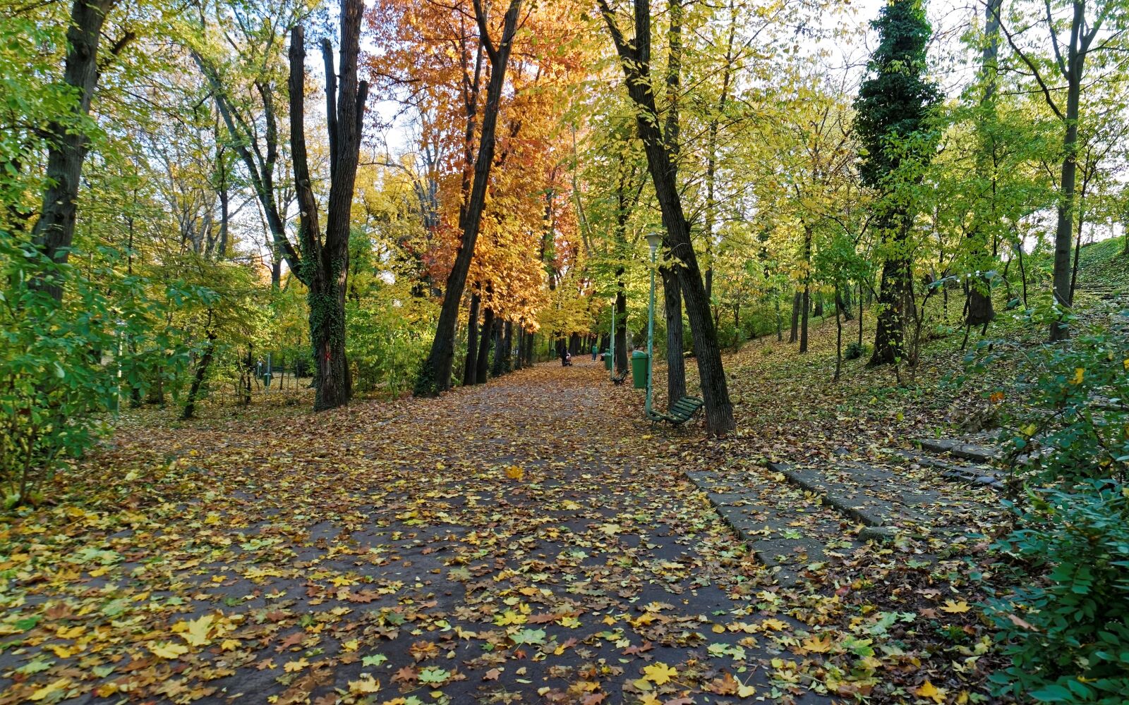 Nikon D5300 sample photo. Landscape, nature, autumn photography