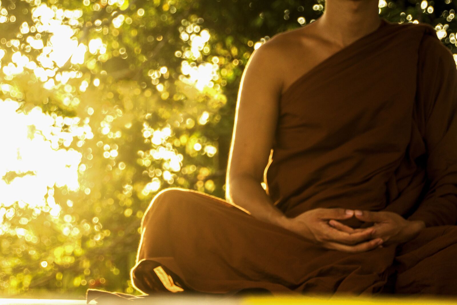 Canon EOS 1100D (EOS Rebel T3 / EOS Kiss X50) sample photo. Theravada buddhism, theravada monk photography