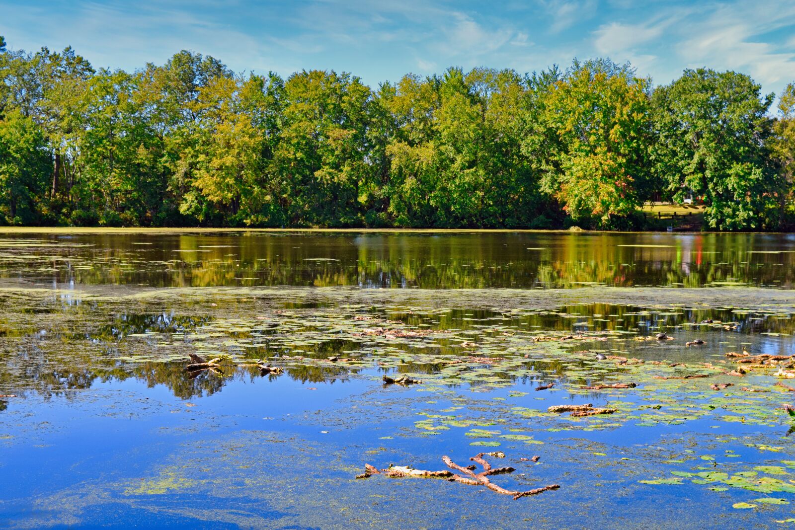 Nikon D3300 sample photo. Pond, landscape, forest photography