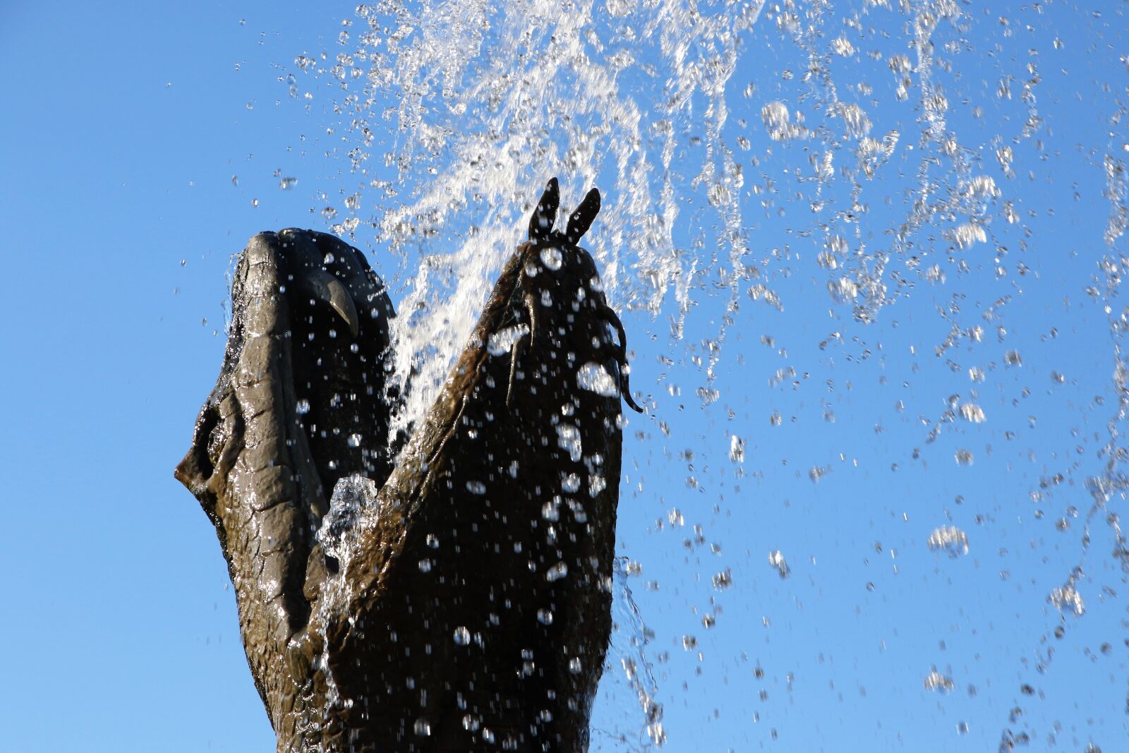 Canon EOS 7D Mark II sample photo. Blue, blue, sky, dragon photography