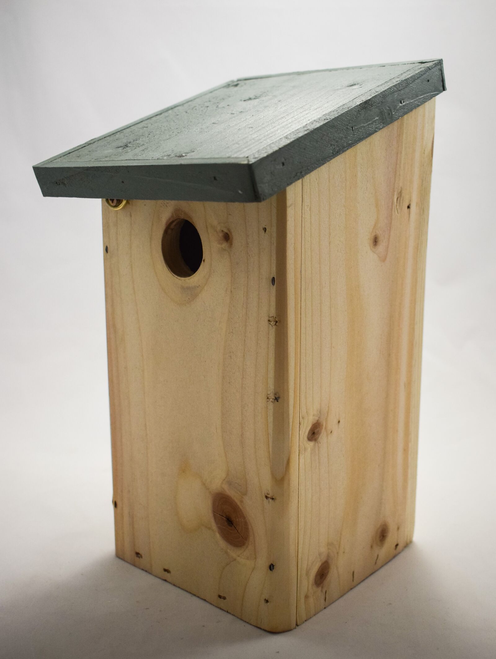 Nikon D5300 sample photo. Blue tit nest box photography