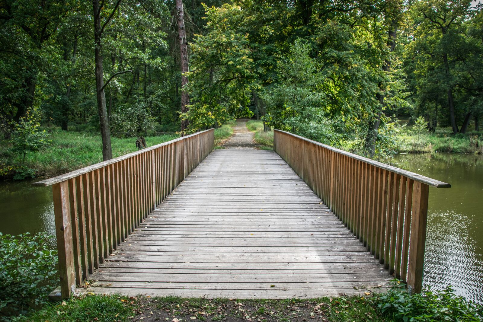 Nikon D5300 sample photo. Footbridge, path, nature photography