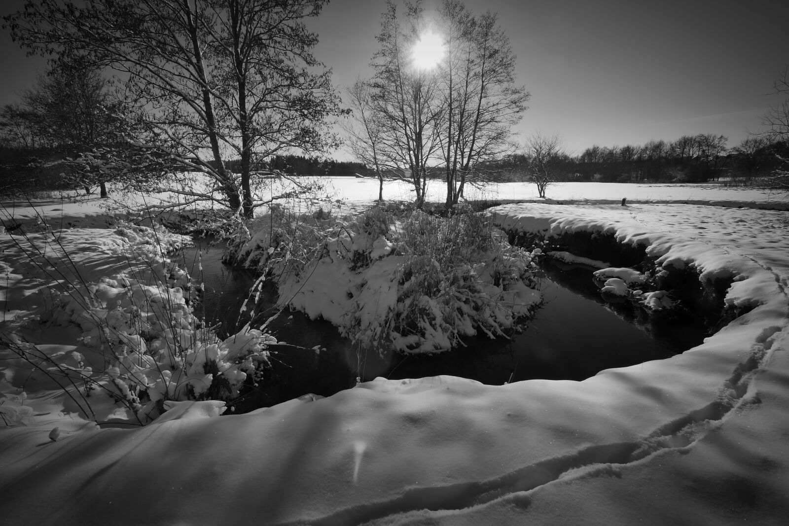 Panasonic Lumix DMC-GX8 sample photo. Tree, waters, river photography