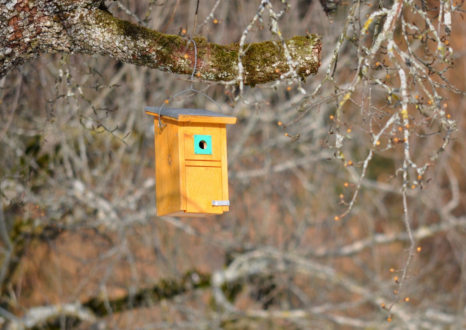 Nikon D90 sample photo. Nesting box, nistm glichkeit photography