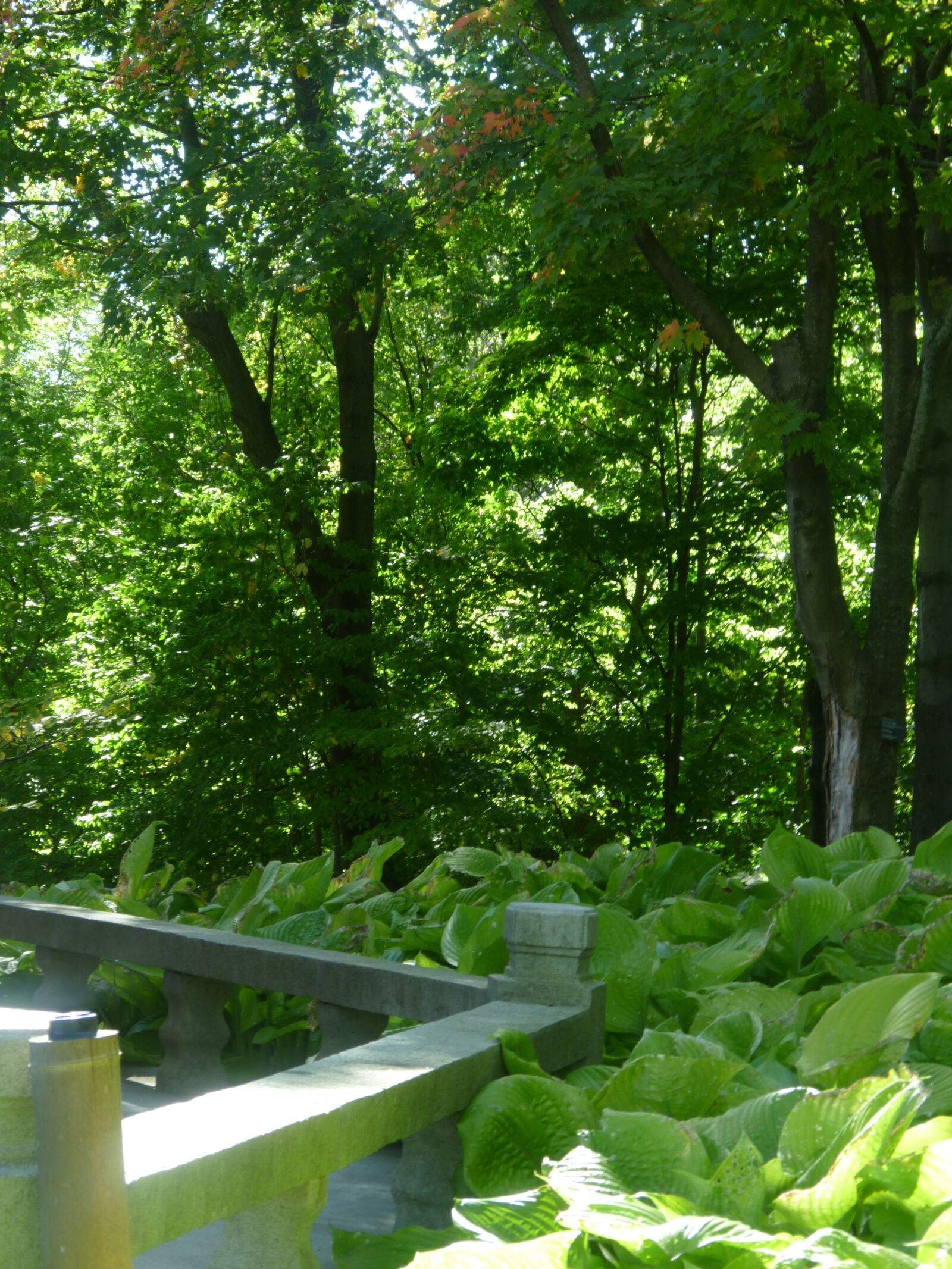 Panasonic DMC-ZR1 sample photo