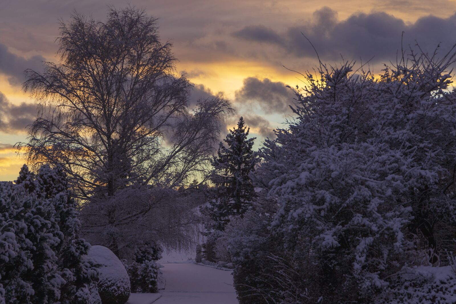 Canon EOS 6D Mark II sample photo. Wintry, grenchen, snow photography