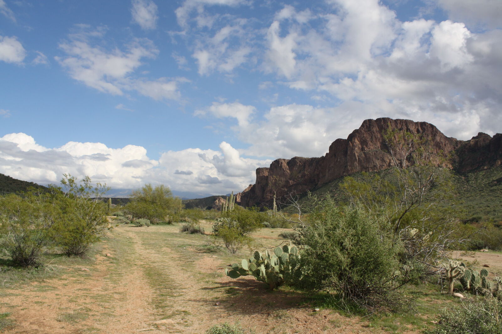 Canon EOS 1000D (EOS Digital Rebel XS / EOS Kiss F) sample photo. Desert photography