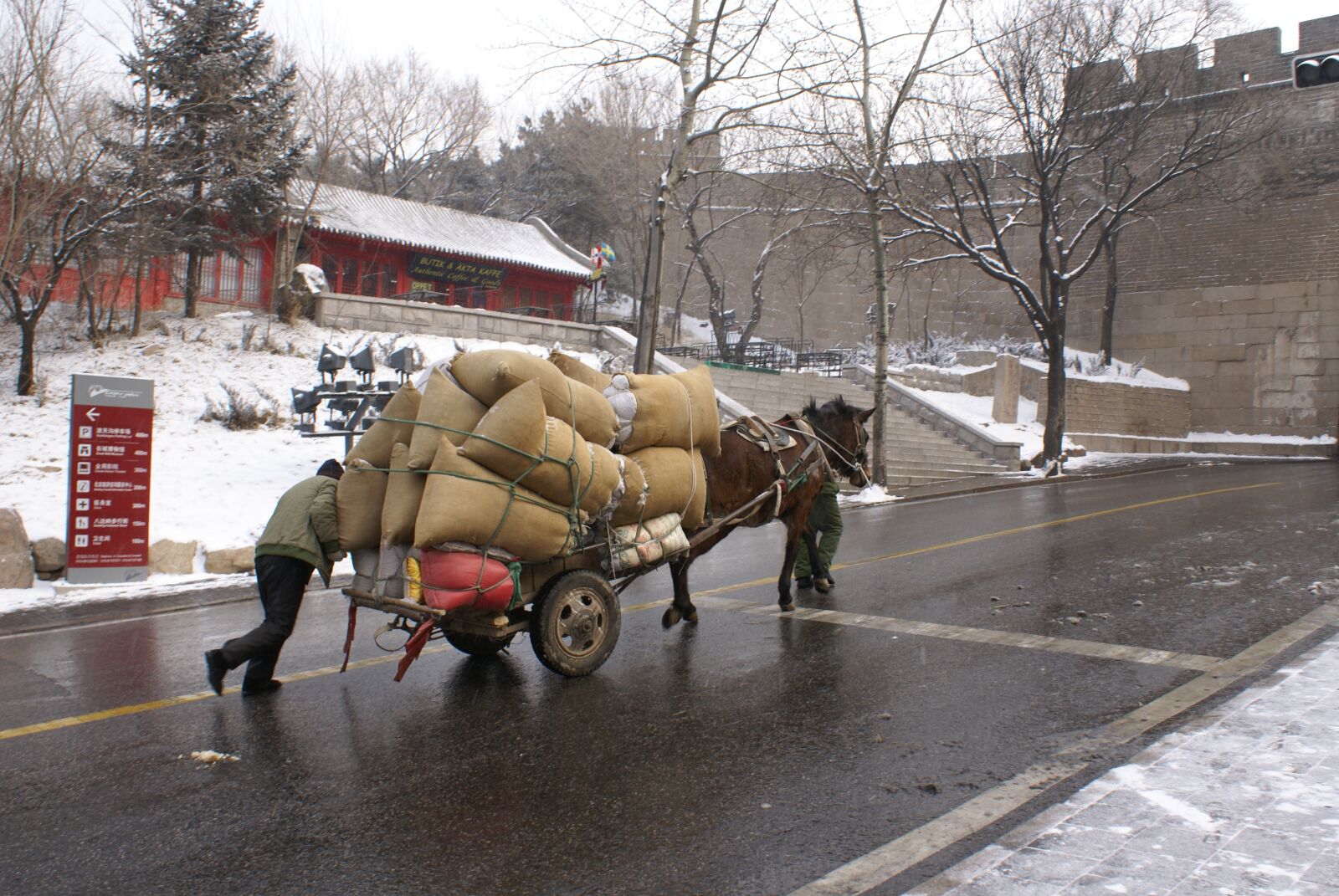 Sony Alpha DSLR-A100 sample photo. Donkey, china, great wall photography