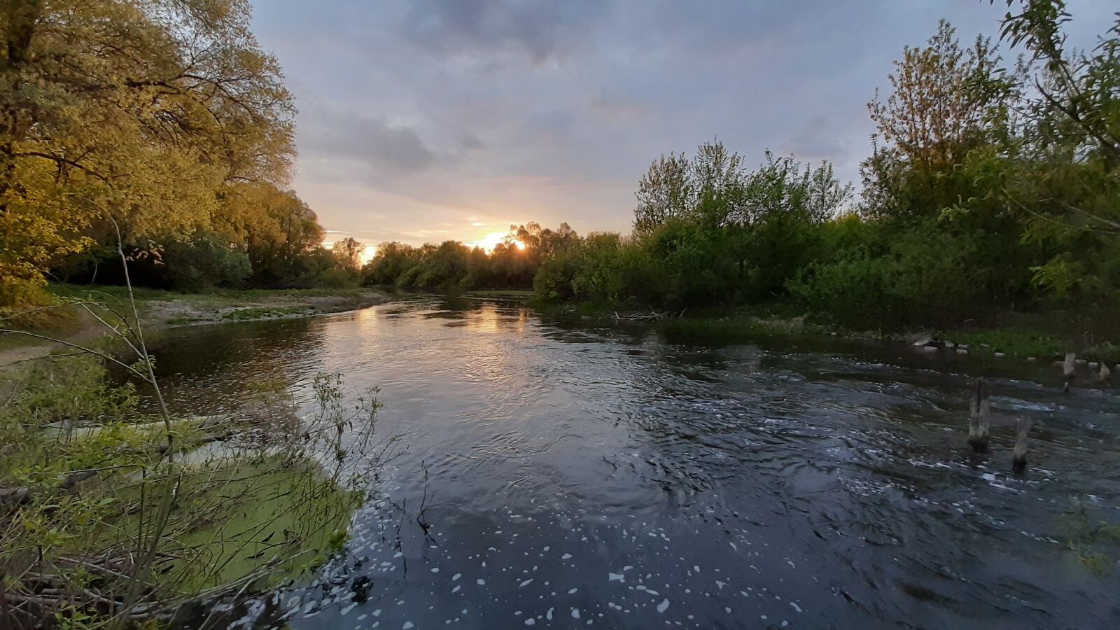 Samsung Galaxy A50 sample photo. River, nature, tree photography
