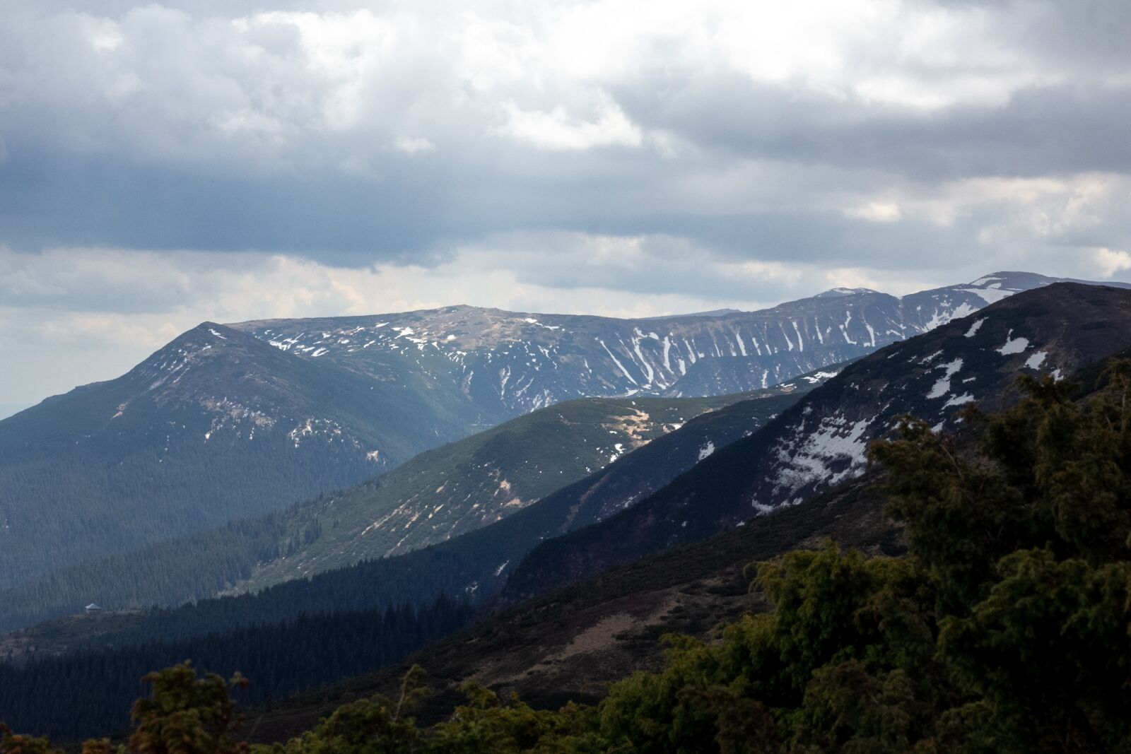Canon EOS 60D + Canon EF 50mm F1.8 II sample photo. Mountains, landscape, goverla photography