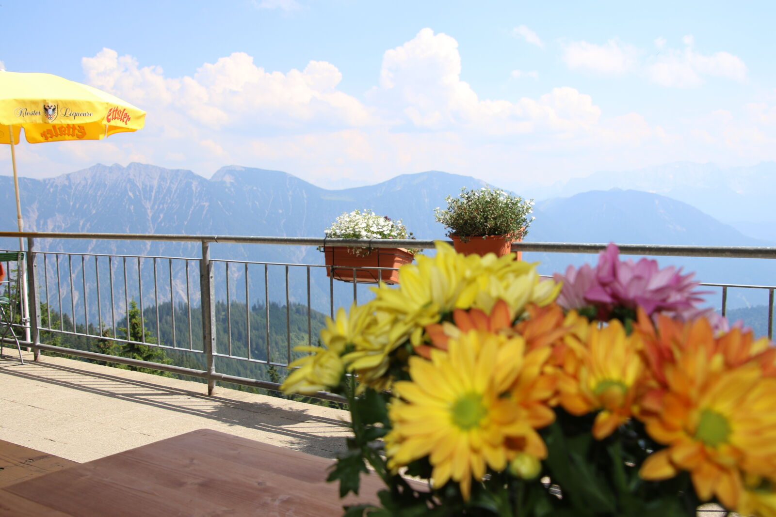 Canon EOS 7D Mark II sample photo. Aeriel, view, enjoy, flowers photography