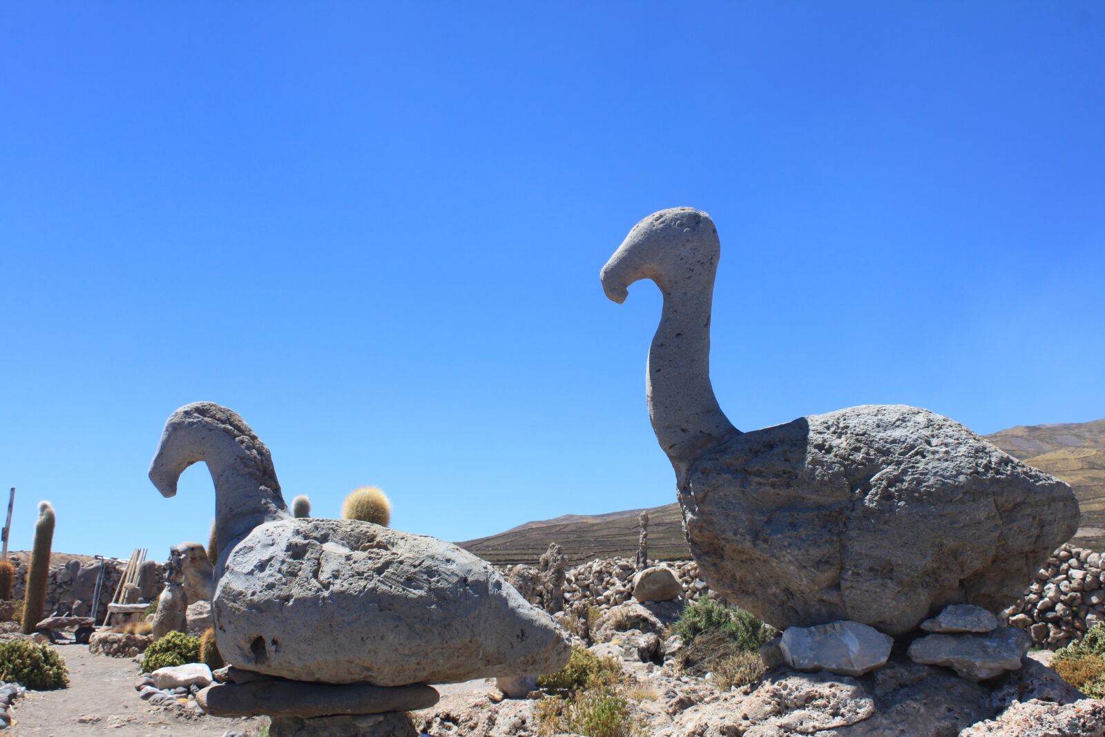 Canon EOS 500D (EOS Rebel T1i / EOS Kiss X3) sample photo. Birds, prehistory, stones photography