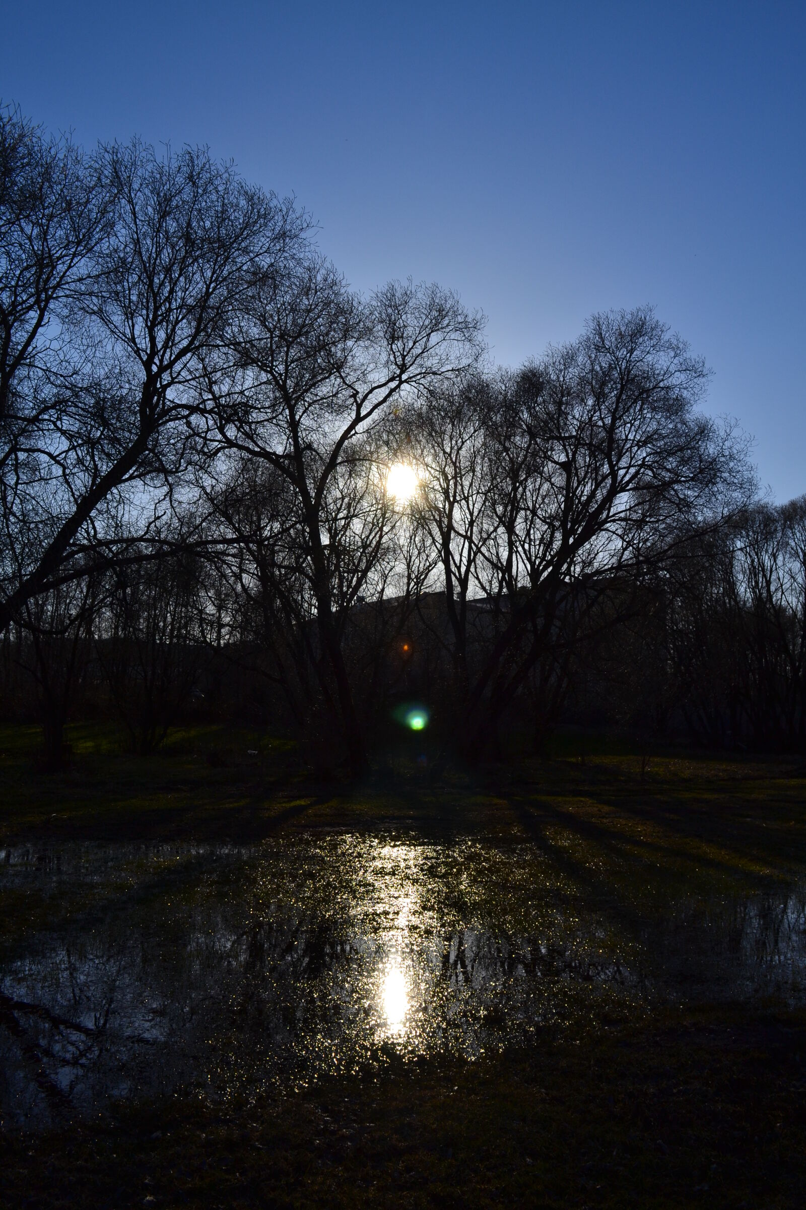 Nikon D3100 sample photo. Sun, water photography